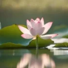 3 conseils pour cultiver votre sérénité au fil des saisons